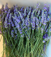 Handmade Lavender Sachets